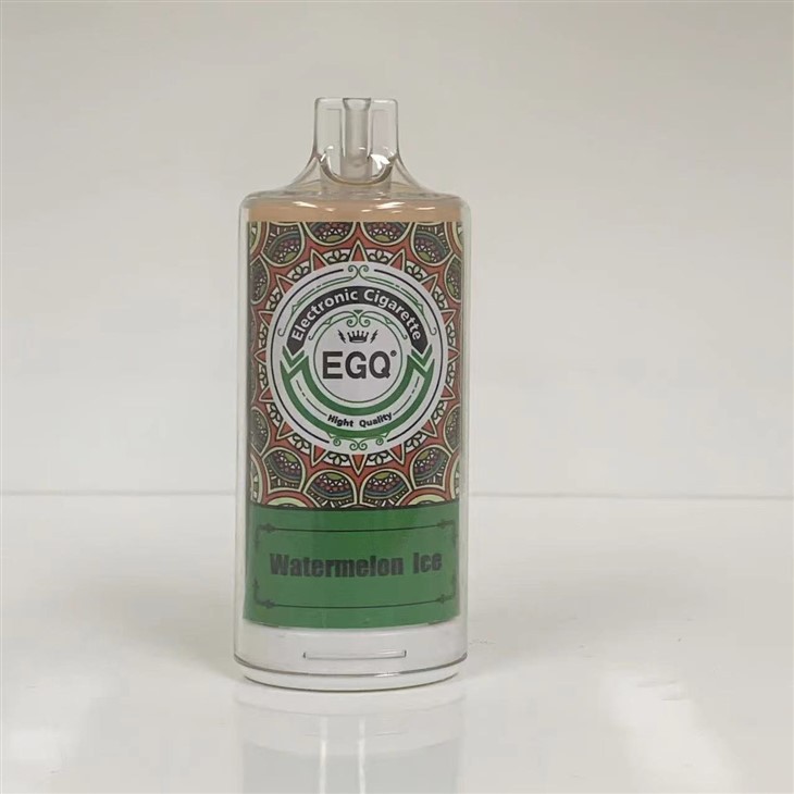 8000 Puffs Disposable Electronic Cigarette Vape Pen