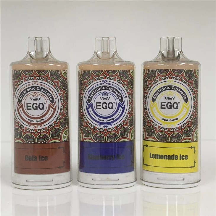 8000 Puffs Disposable Electronic Cigarette Vape Pen