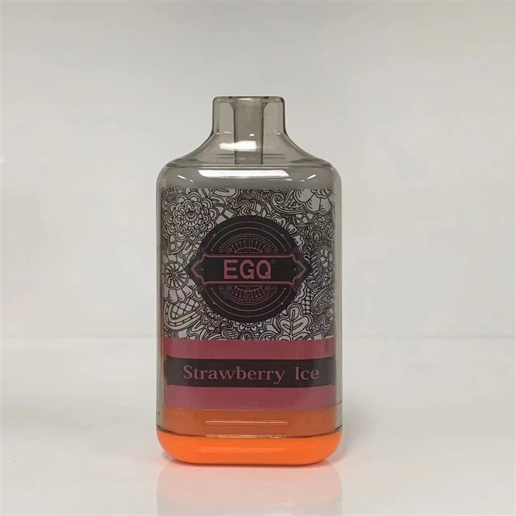 Electronic Cigarette 10000 Puffs Disposable Vape