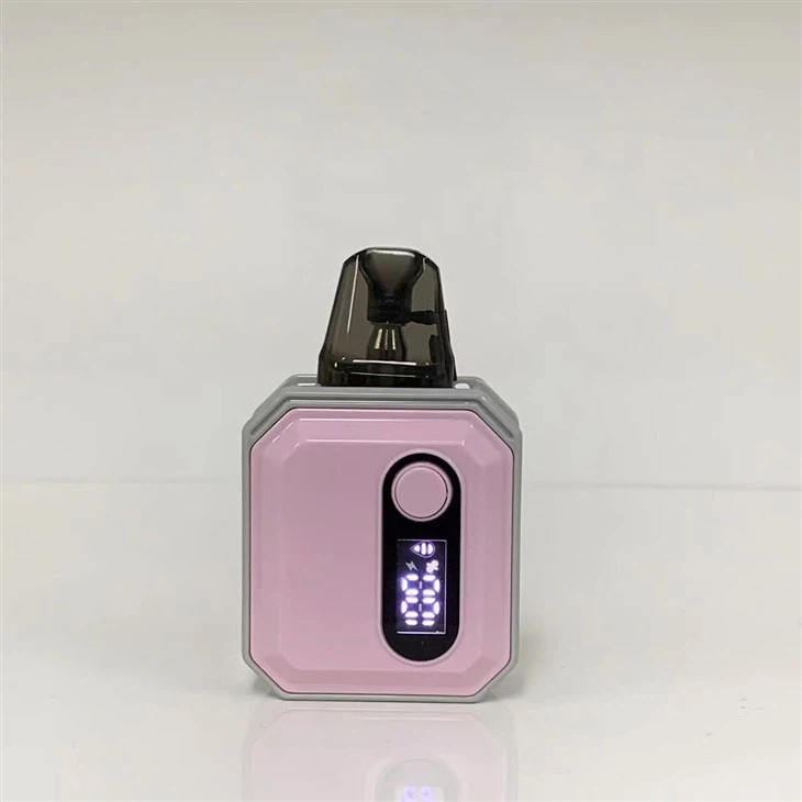 100% Original 600 Puff Custom Vaporizer Pen Vape Pod