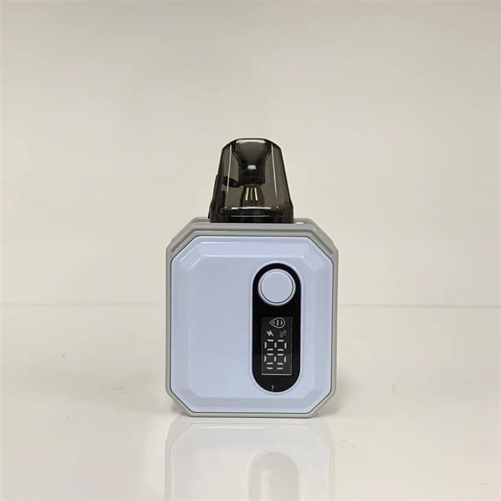 100% Original 600 Puff Custom Vaporizer Pen Vape Pod