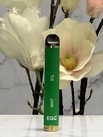 800 Puffs Disposable Vape With 550mAh Battery