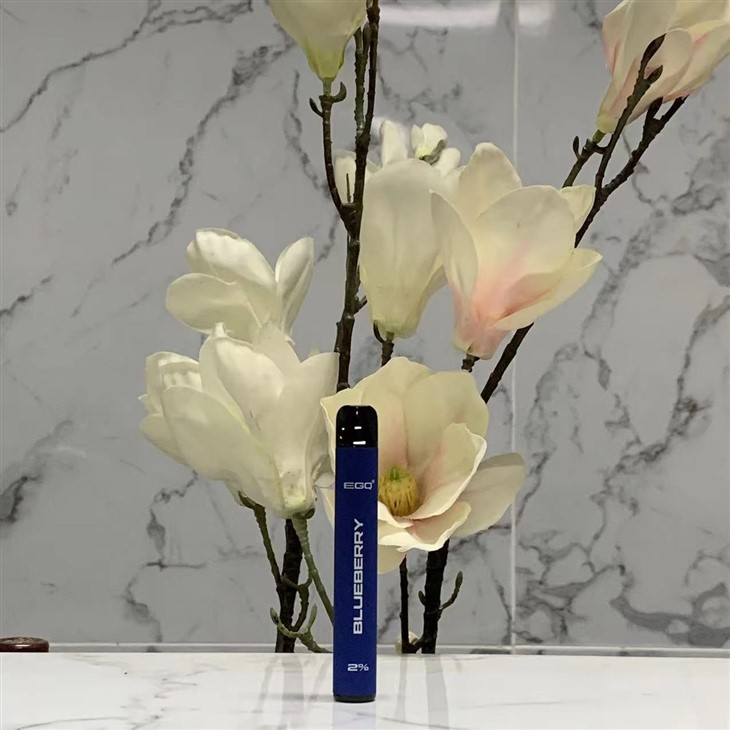 China Make E-Cigarette Vape Pen 600 Puffs