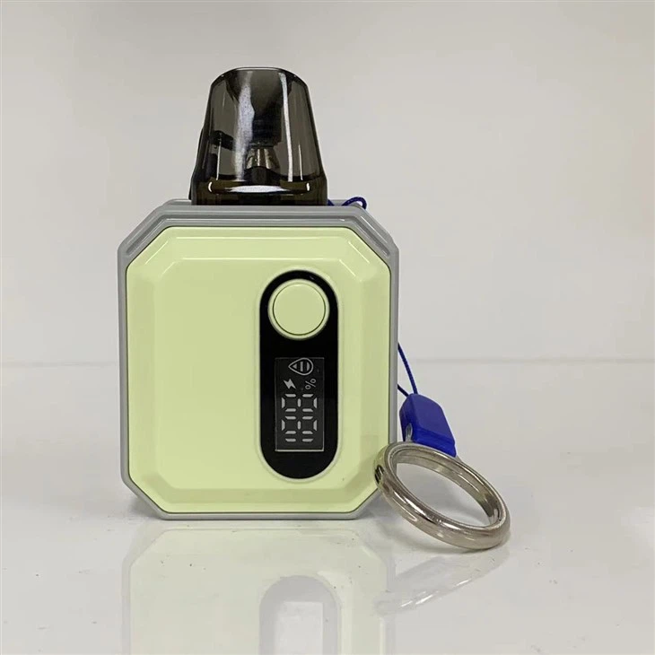 E Cigarette Mini Electronic Cigarette Custom Vape Pod Factory 600 Puff