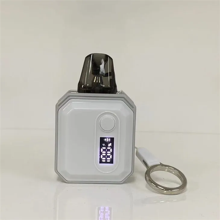 E Cigarette Mini Electronic Cigarette Custom Vape Pod Factory 600 Puff