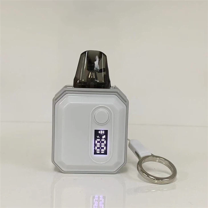 E Cigarette Mini Electronic Cigarette Custom Vape Pod Factory 600 Puff