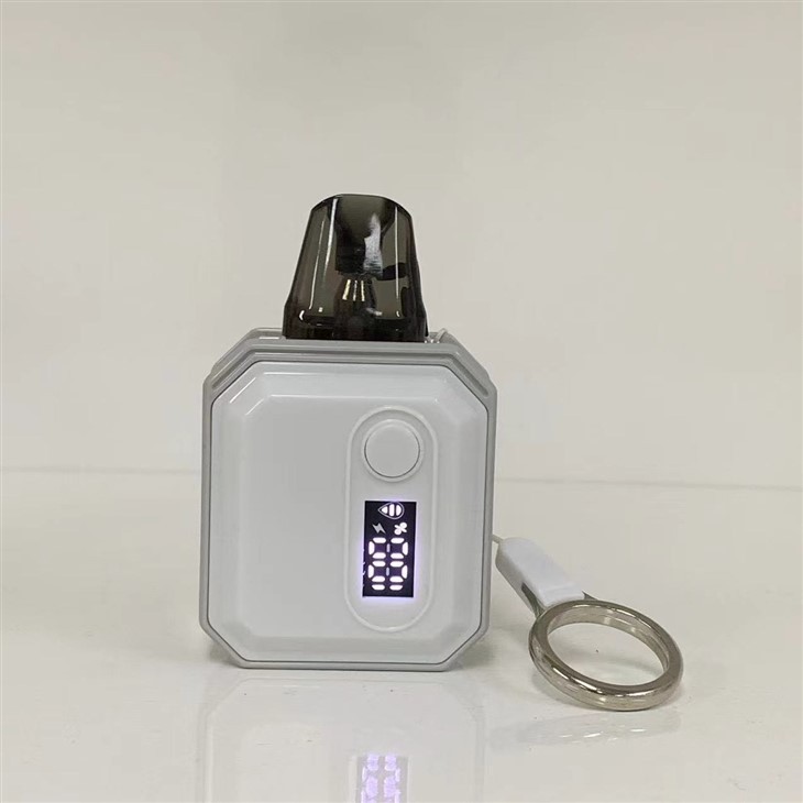 E Cigarette Vape Pod Factory 600 Puff Wholesale Disposable Vape