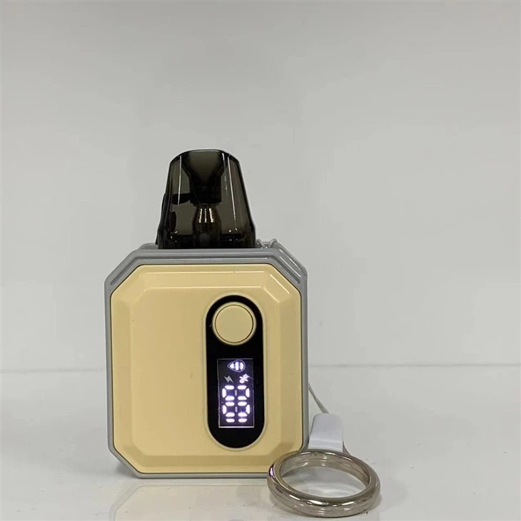 E Cigarette Vape Pod Factory 600 Puff Wholesale Disposable Vape