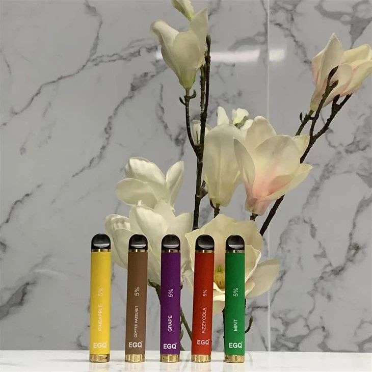 New Fashion Portable Fruit Flavor Disposable Vape