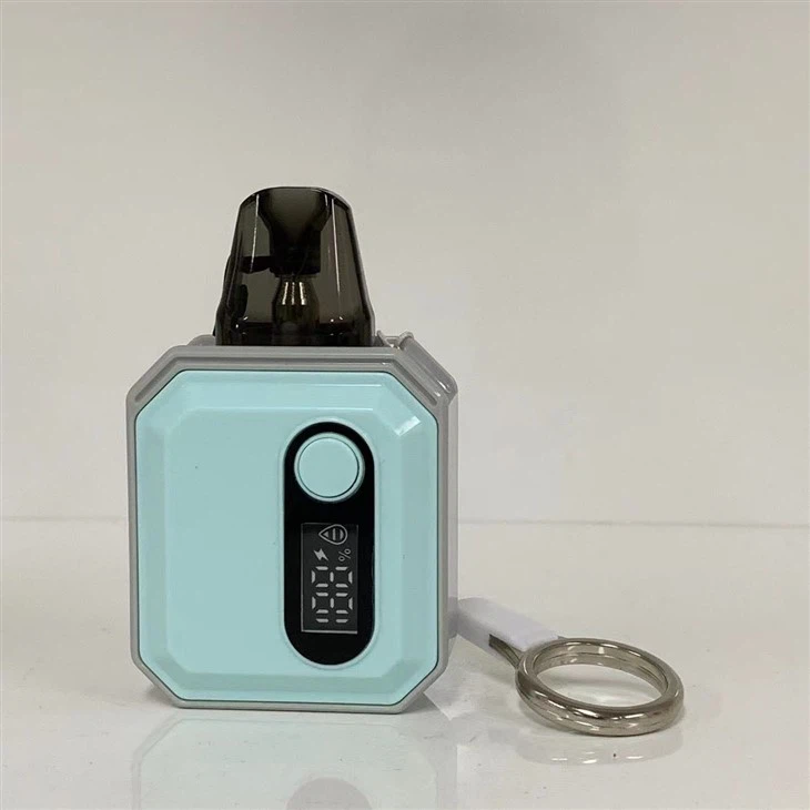 Wholesale China Best-Selling 10 Fruits Flavors Taste 600 Puffs E Cigarette Pod